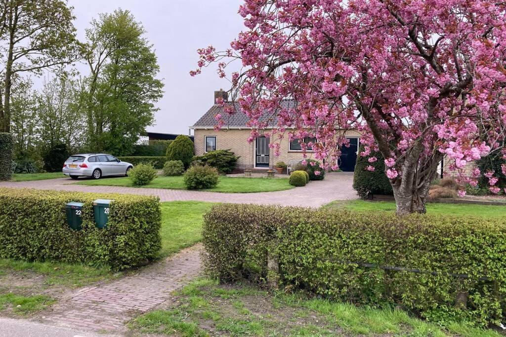Tsjûke en March, Gezellig vakantie verblijf. Echten  Buitenkant foto